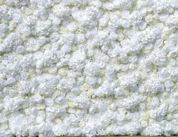 white floral backdrop